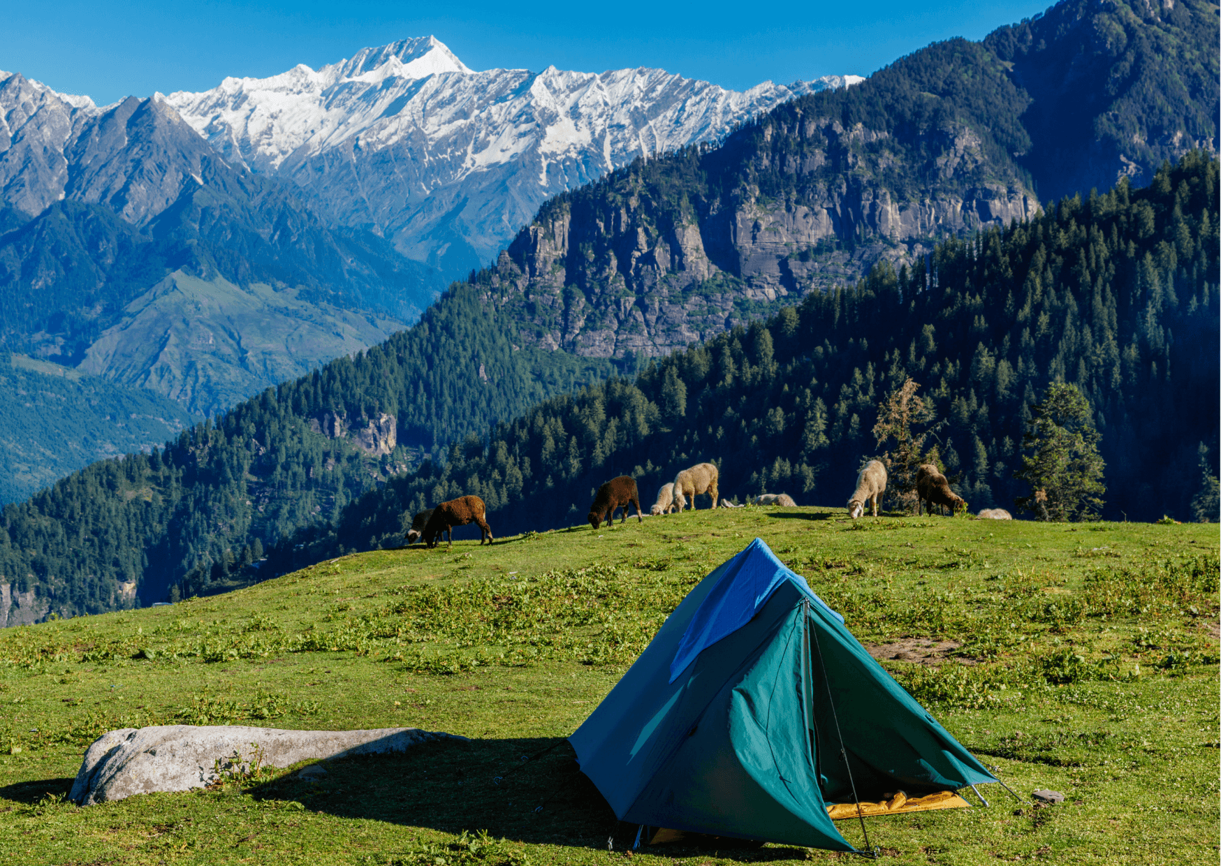 Read more about the article Survival na Skrzycznem!